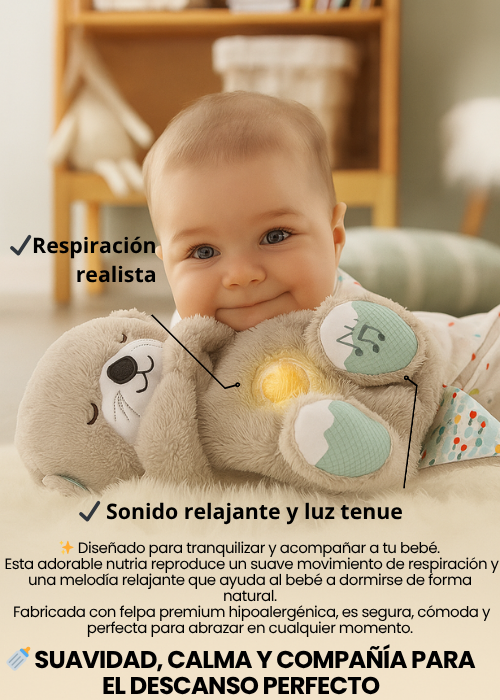 ✨CARPA CASA INFANTIL+NUTRIA QUE RESPIRA,ALUMBRA Y TIENE MUSICA🧸