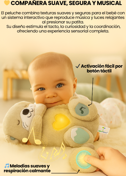 ✨CARPA CASA INFANTIL+NUTRIA QUE RESPIRA,ALUMBRA Y TIENE MUSICA🧸